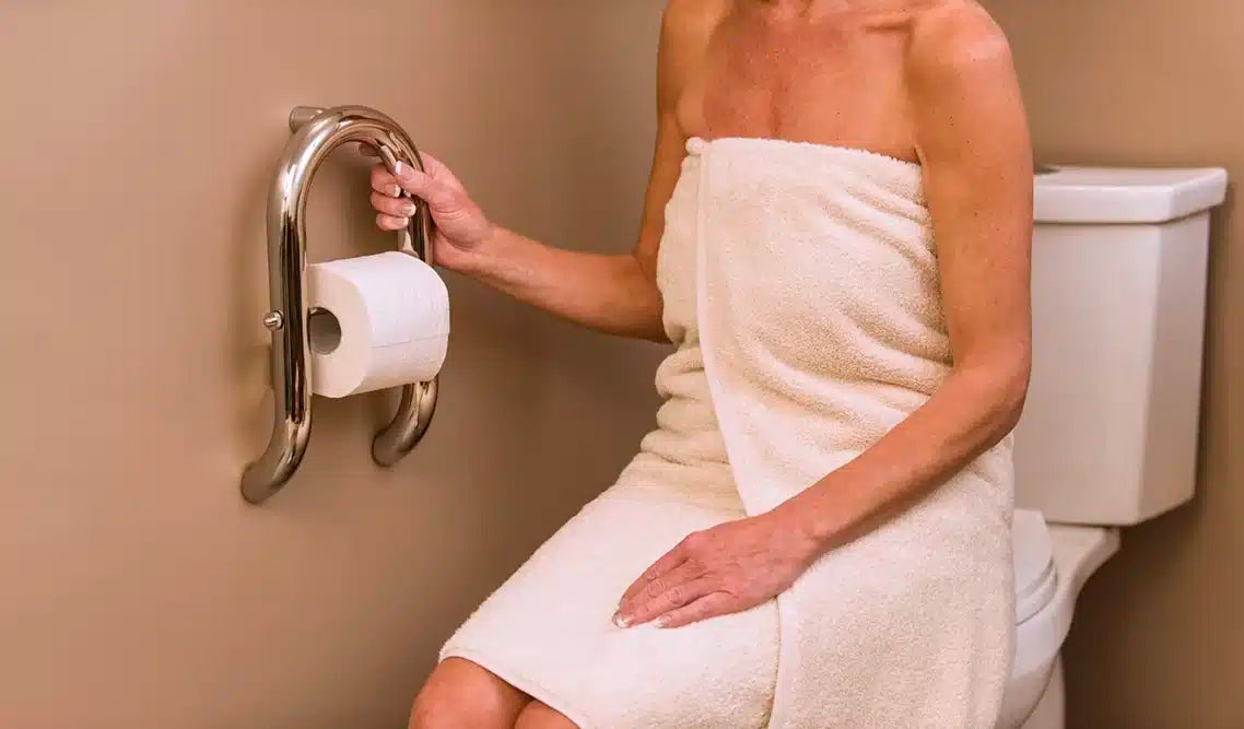 Invisia Wall Toilet Roll Holder